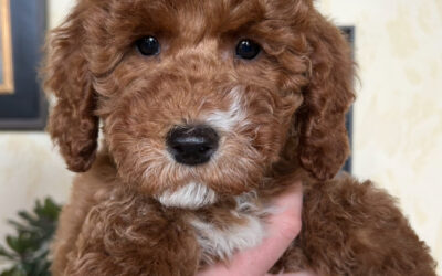 Tips and Tricks Pt. 2