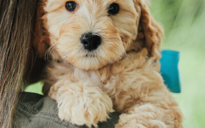 End of July Check In