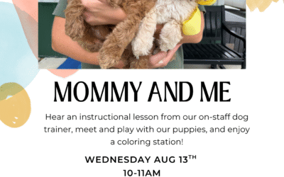 Mommy and Me 8/13